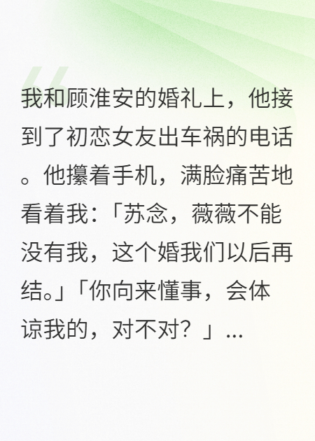 沈亮顾淮安出现在什么小说里？
