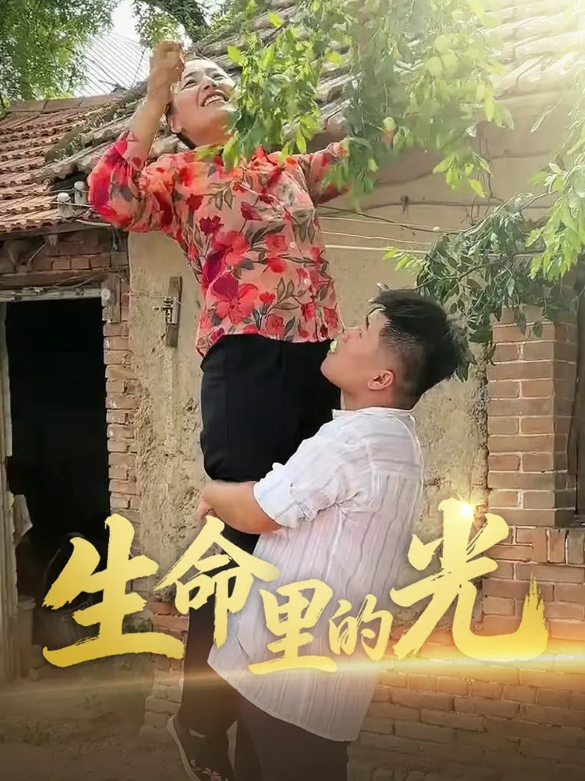 生命里的光热搜短剧