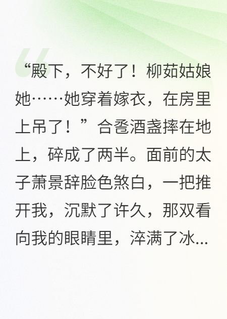 主角叫柳茹萧景辞的小说名字是什么？-花间书城