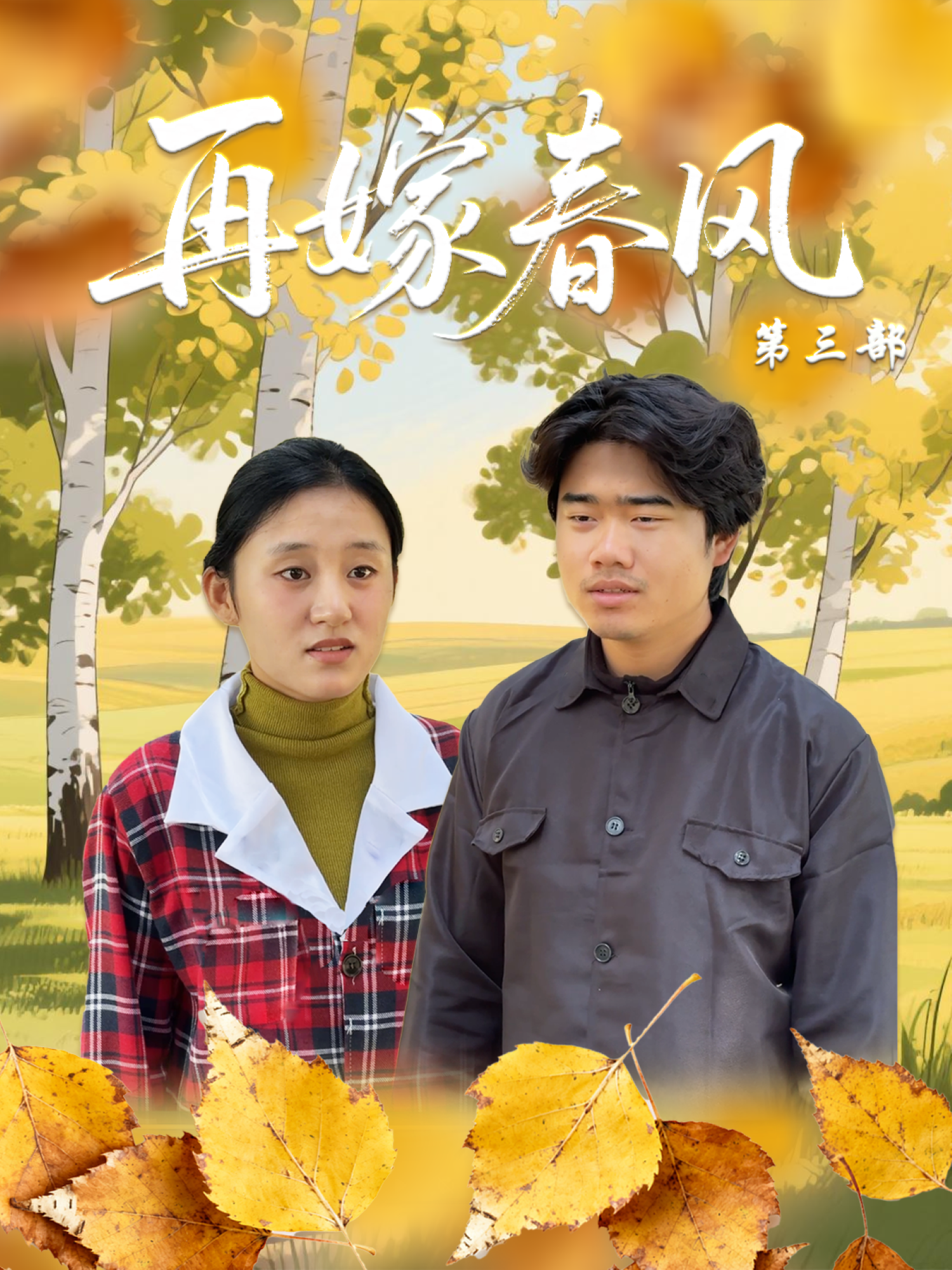 再嫁春风第三部