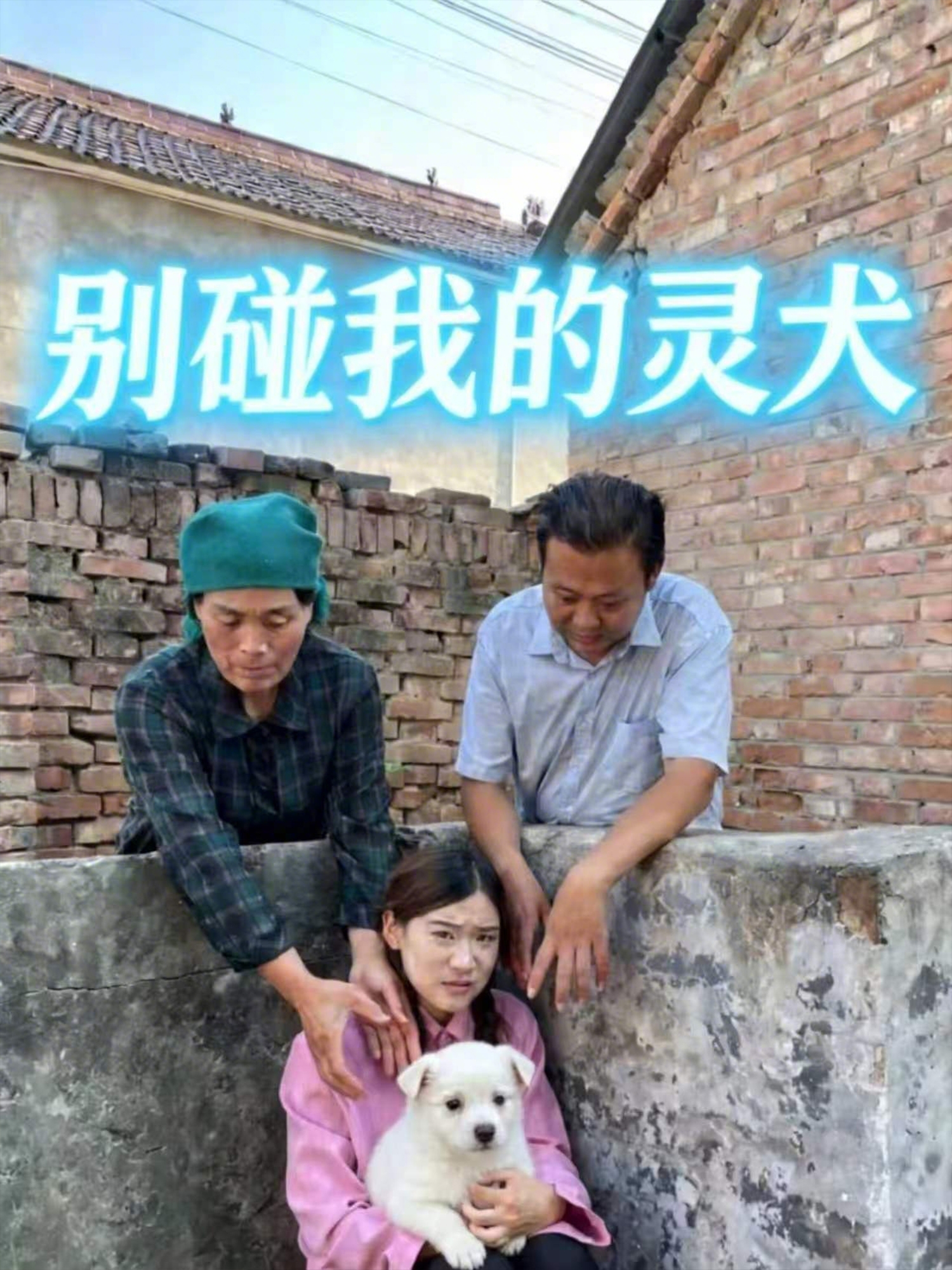 别碰我的灵犬
