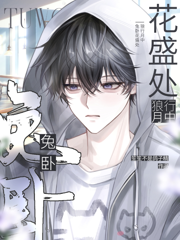 有关高途沈文琅盛少游的故事情节