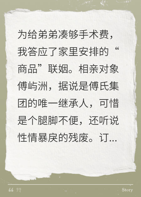出现傅屿洲的小说在哪里可以找到？