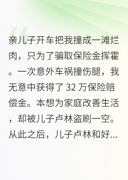 被亲儿子骗光32万保险后，我重生了热门爽文