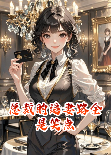 总裁的追妻路全是笑点正版全文