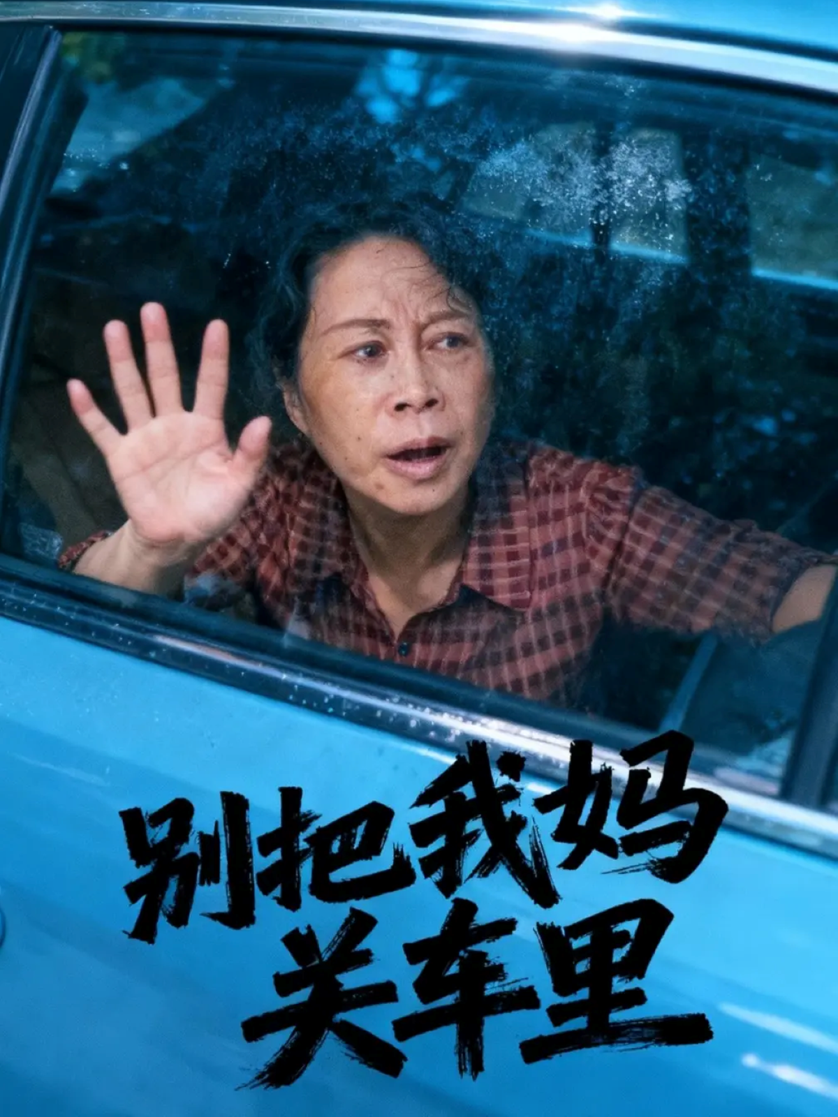 别把我妈关车里