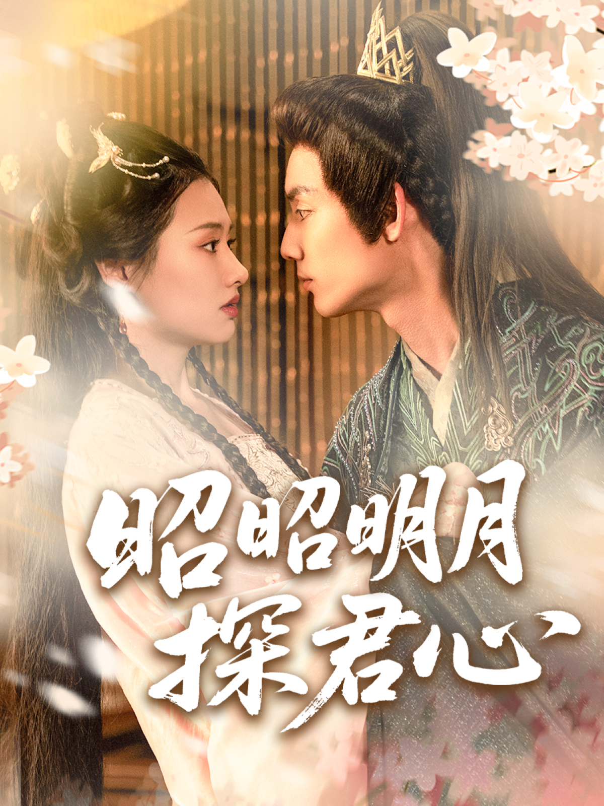 昭昭明月探君心_在線觀看