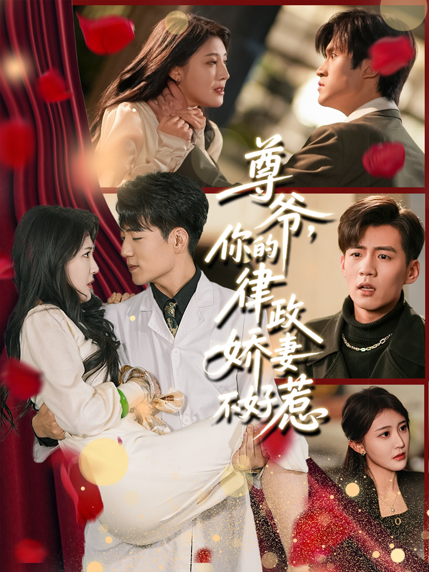 尊爺，你的律政嬌妻不好惹