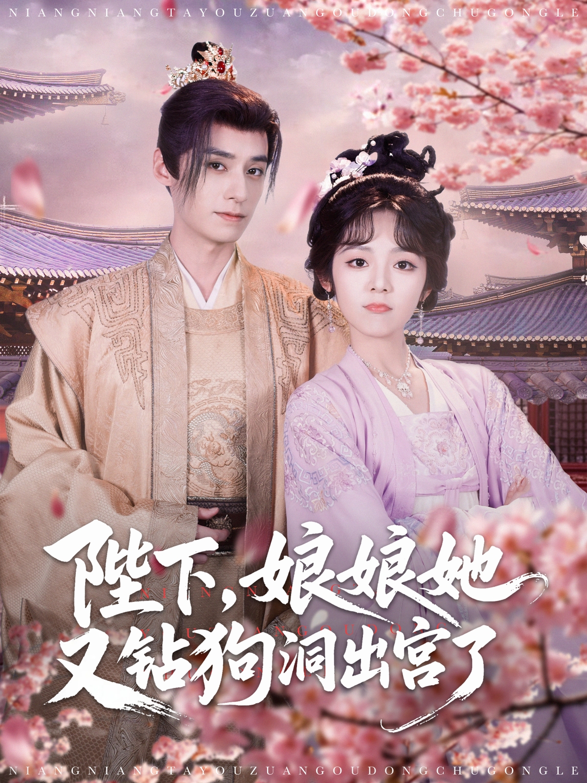 陛下，娘娘她又鉆狗洞出宮了_精彩短劇