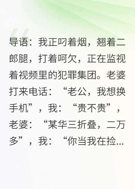 反诈风云：老婆，我真是警察！完整篇章