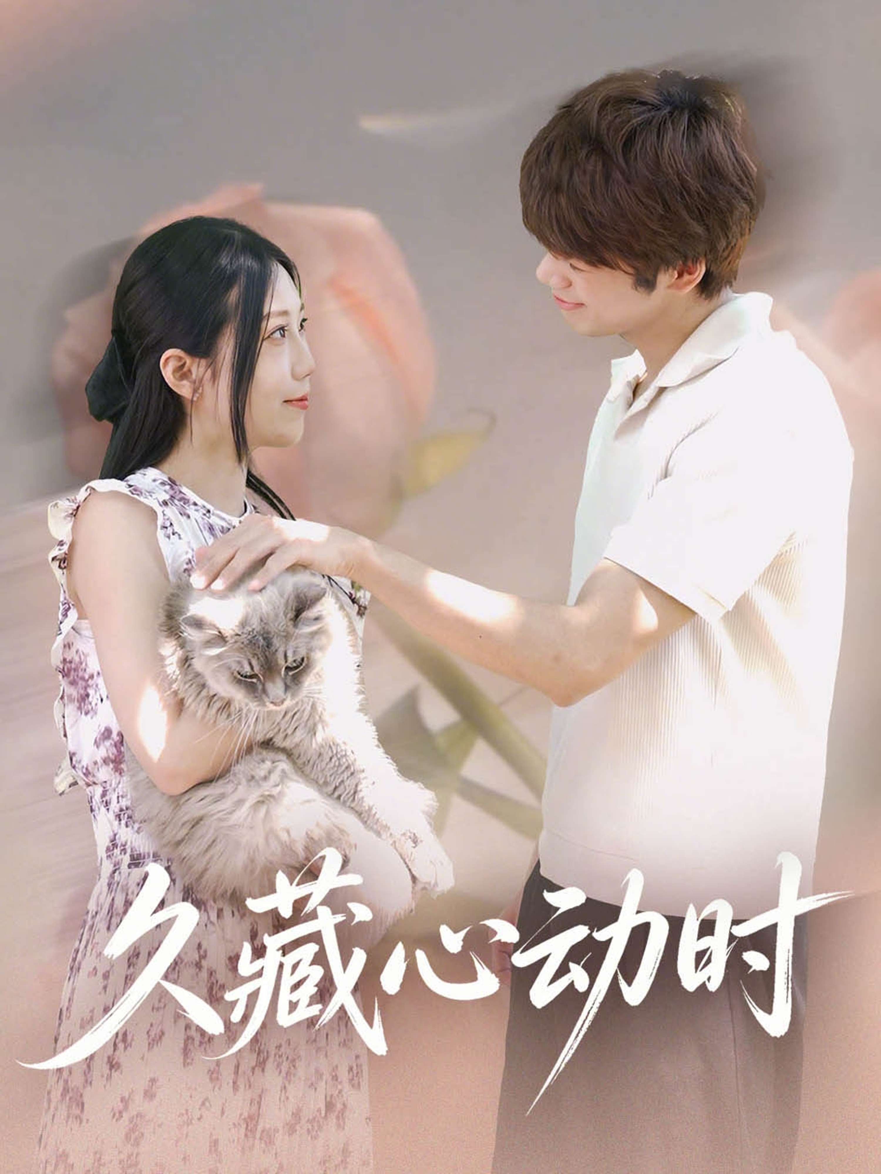 久藏心动时