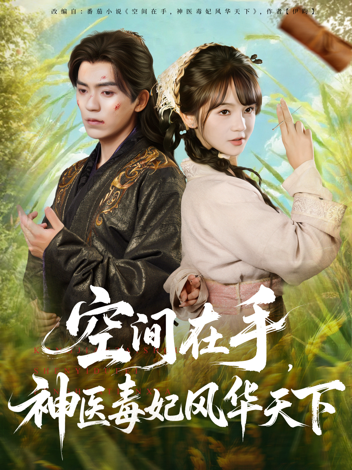 空间在手，神医毒妃风华天下