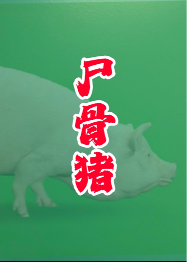 尸骨豬