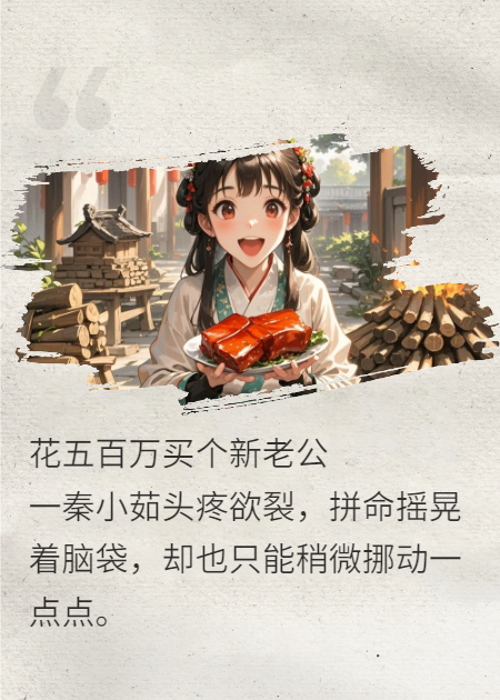花500萬買個新老公