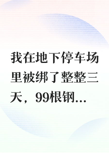 99根钢针扎醒出轨妻子免费阅读