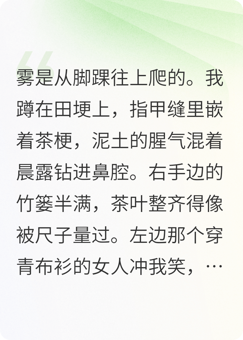 我不能當NPC