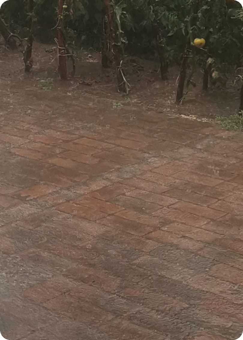 你講的幻想