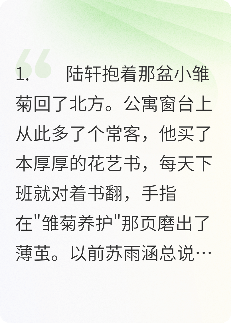 雛菊晚了