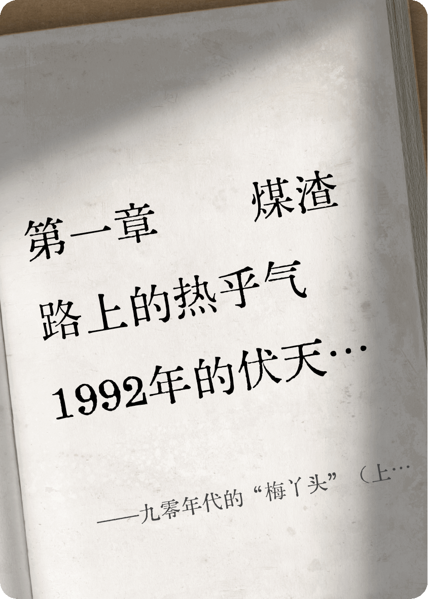 九零年代的“梅丫頭”（上部）