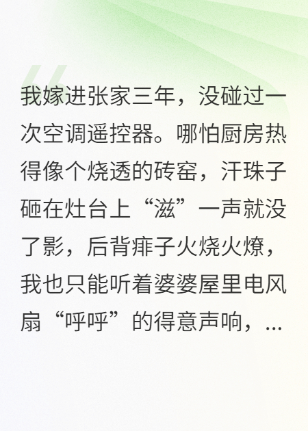 《婆婆拔插头那夜，我甩门带走8000》火爆无弹窗