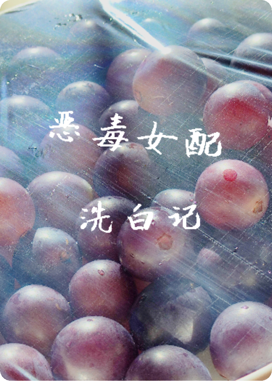 惡毒女配洗白記