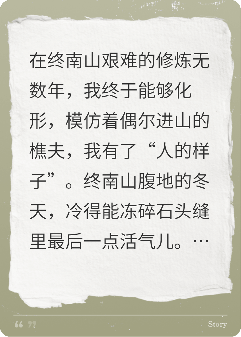 山妖化形，我在深山開直播