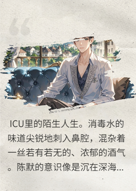 穿越后，我成了豪門(mén)繼承人