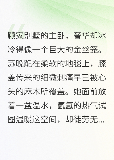 重生歸來(lái)——打爛顧總的洗腳盆