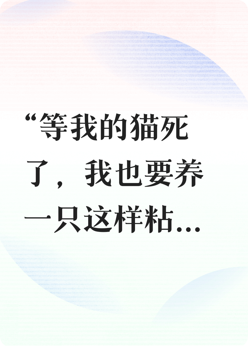 貓貓女友