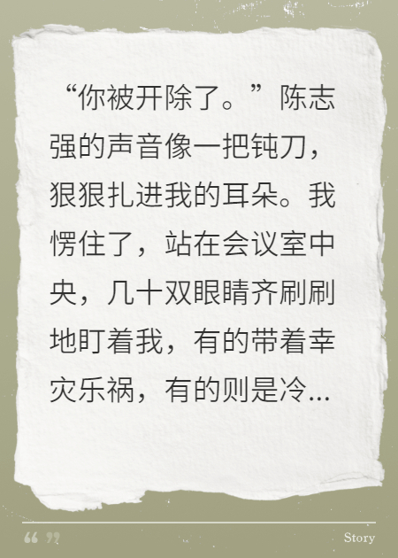 開(kāi)除我后，我成了公司老板