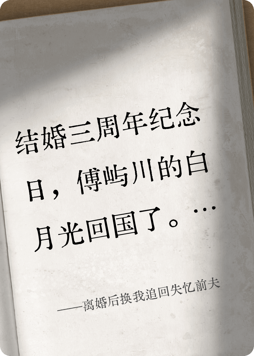 离婚后换我追回失忆前夫