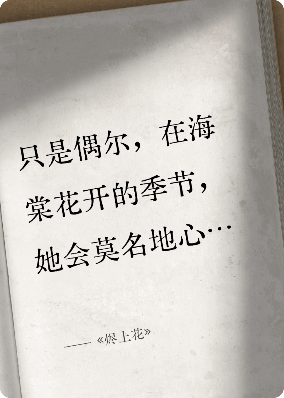  什么作品的主角叫沈清辞萧玦苏绾？