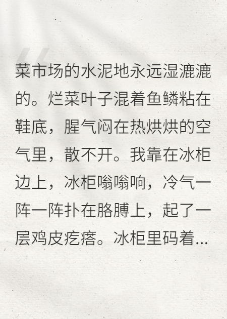 重生回到改志愿