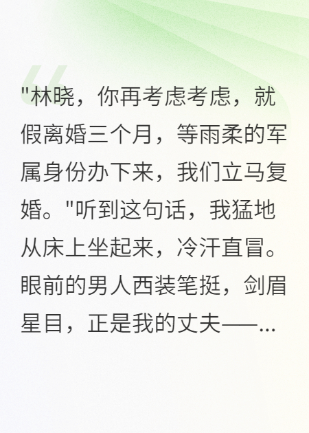 軍官老公為洗白小三讓我假離婚