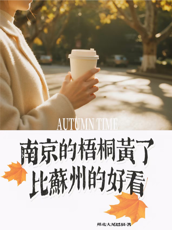 南京的梧桐黃了，比蘇州的好看