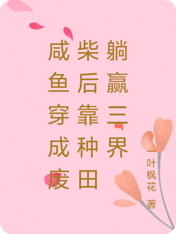 主角是林小满的小说叫什么名字？