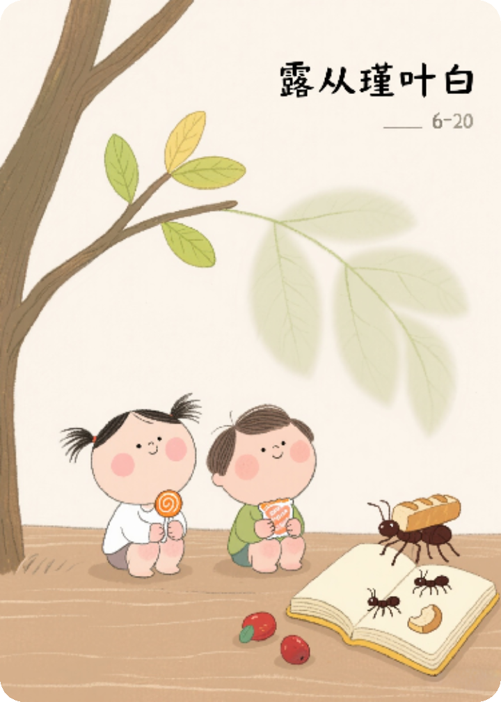 露從瑾葉白