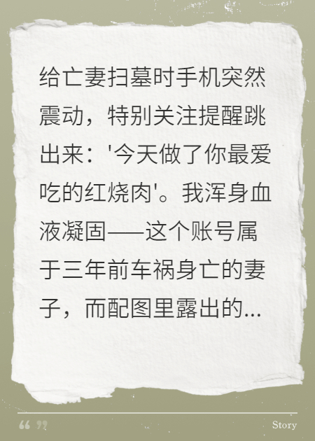 亡妻的社交账号