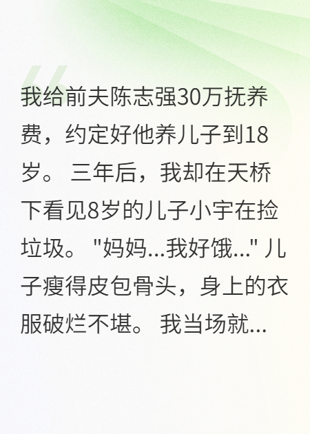 30萬(wàn)撫養(yǎng)費(fèi)換來(lái)兒子流浪街頭