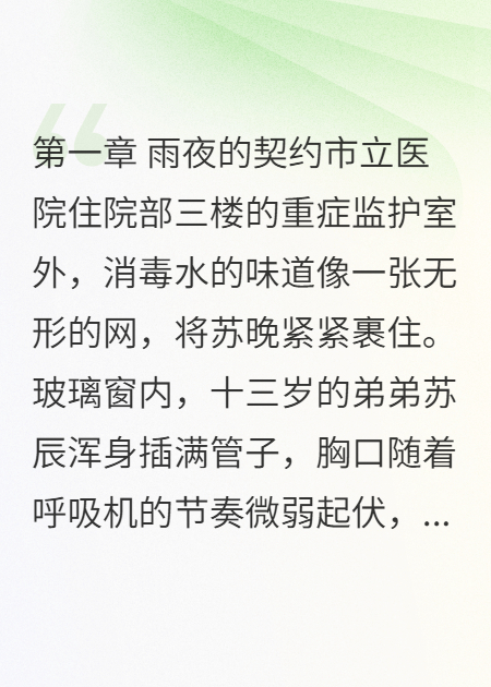 向日葵謝了：她用命還他，他用余生贖罪