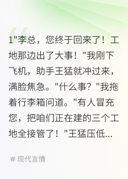 冒牌老板霸占我公司