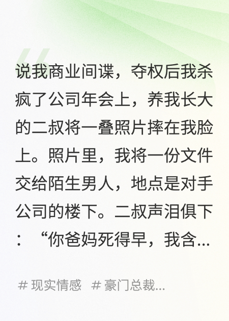 說我商業(yè)間諜，奪權(quán)后我殺瘋了