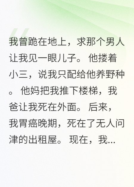 我成了傻女后，陛下杀疯了